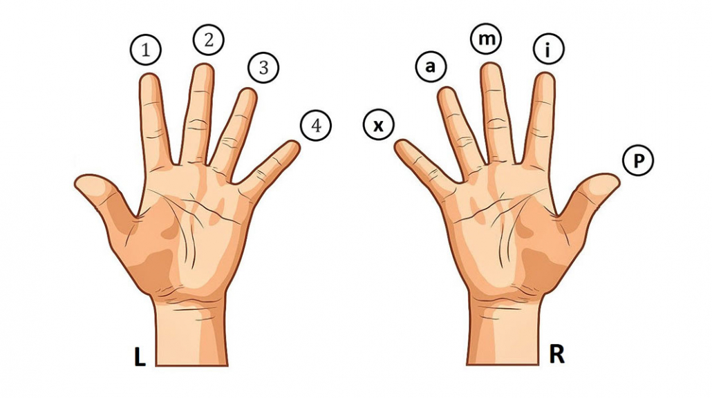 ترتیب و نام انگشتان دست در گیتار